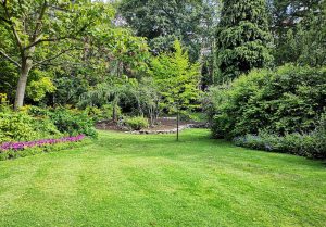 Optimiser l'expérience du jardin à Savignac-de-Duras